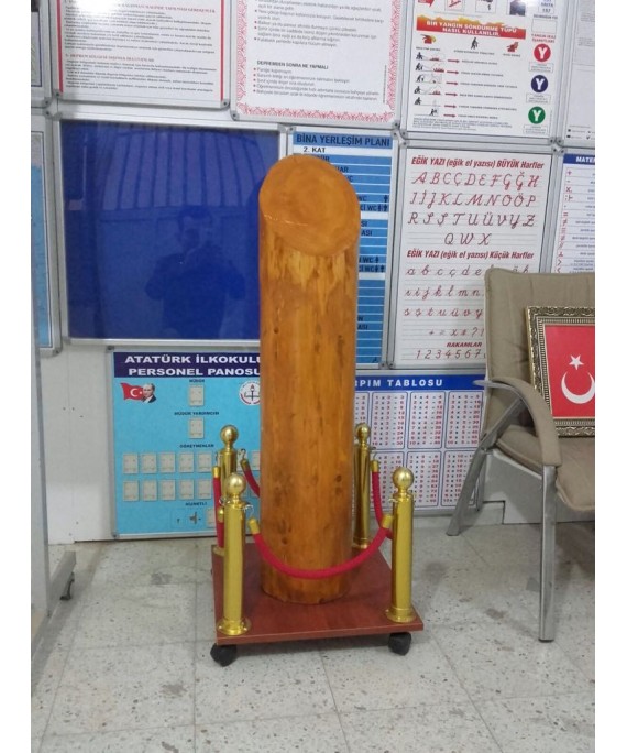 Mezuniyet Yaş Kütüğü 100