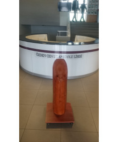 Mezuniyet Yaş Kütüğü 100
